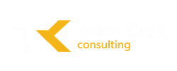 Telco Crux Consulting
